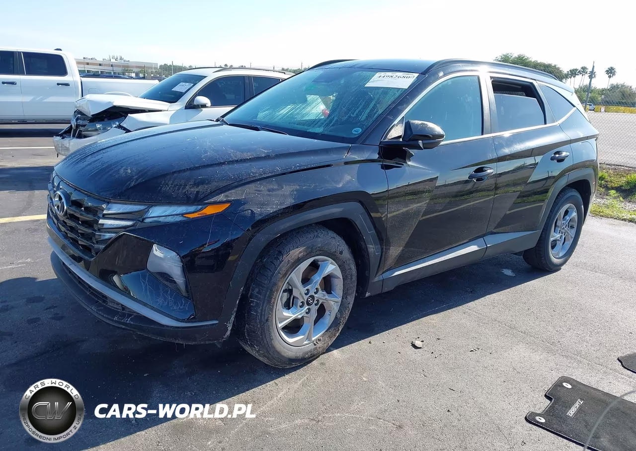 2024 Hyundai Tucson Sel VIN:5NMJB3DE6RH294443 - 2