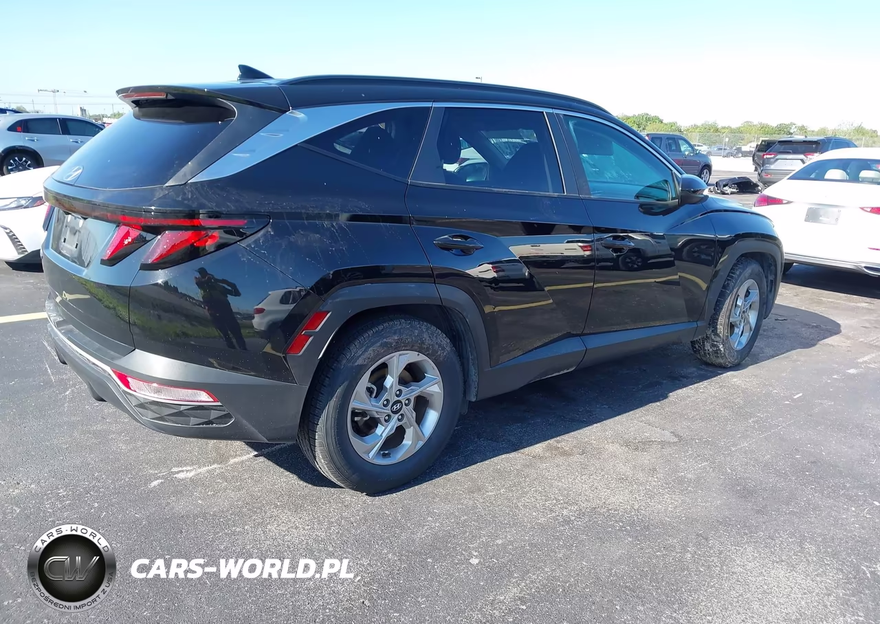 2024 Hyundai Tucson Sel VIN:5NMJB3DE6RH294443 - 4