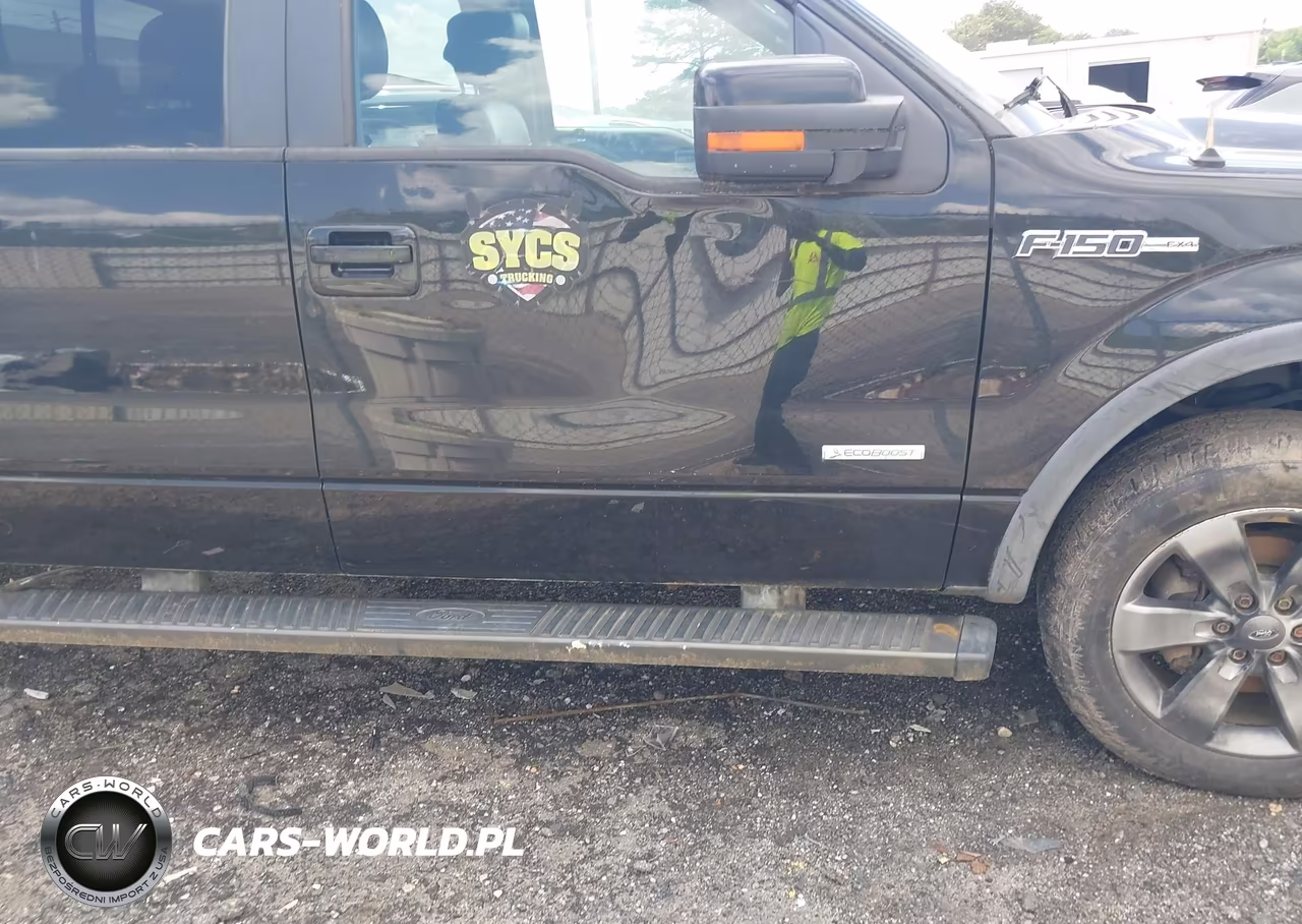 2013 Ford F-150 Fx4 VIN:1FTFW1ET2DFB24498 - 17