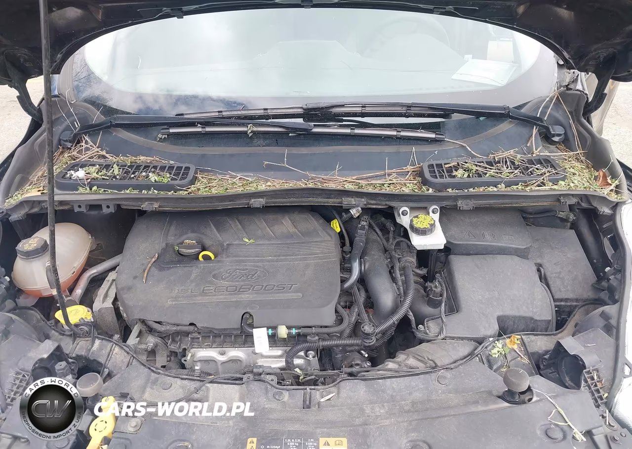 2018 Ford Escape Se VIN:1FMCU9GD8JUB52046 - 10