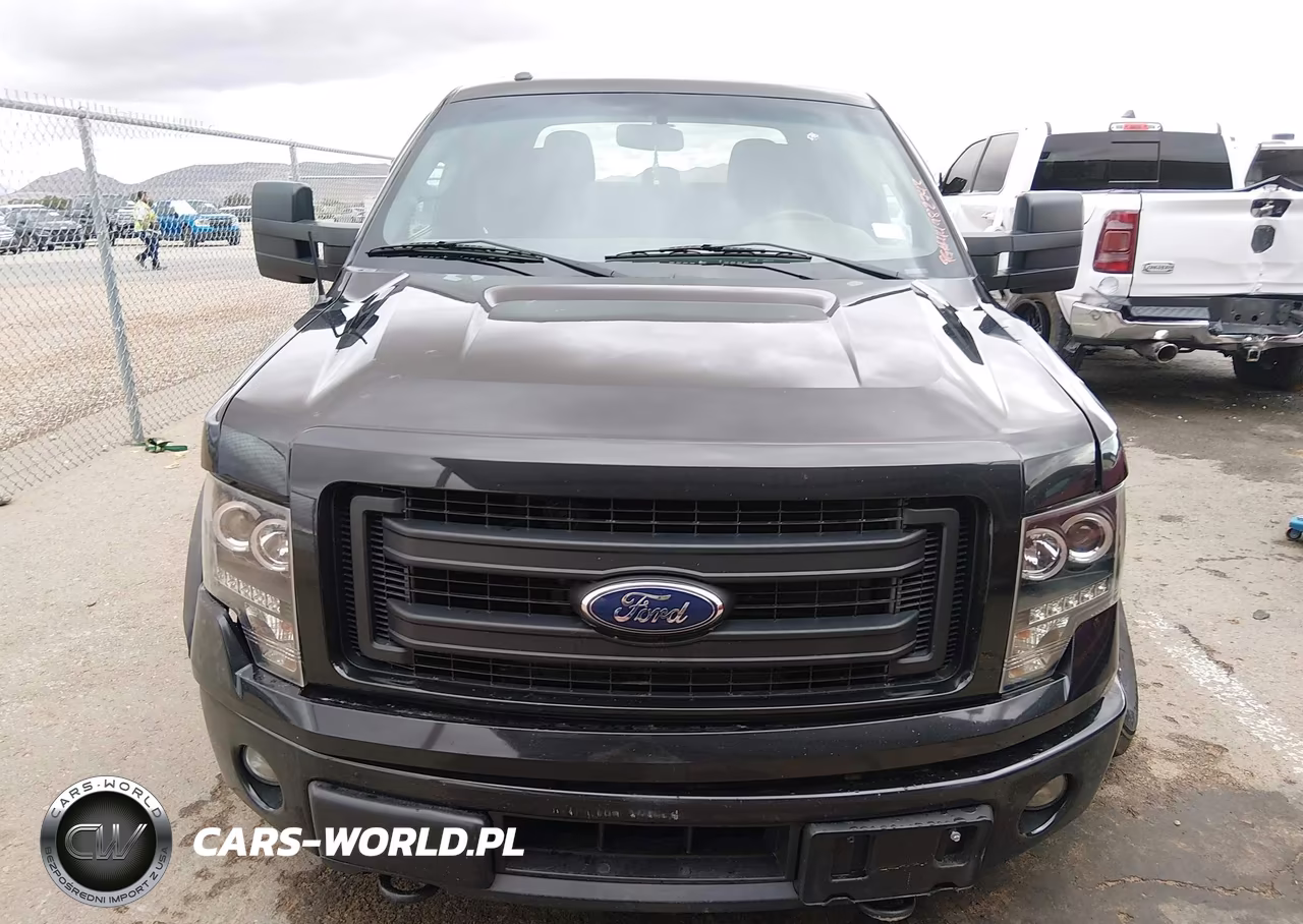 2014 Ford F-150 Fx4 VIN:1FTFW1ETXEFB54494 - 12