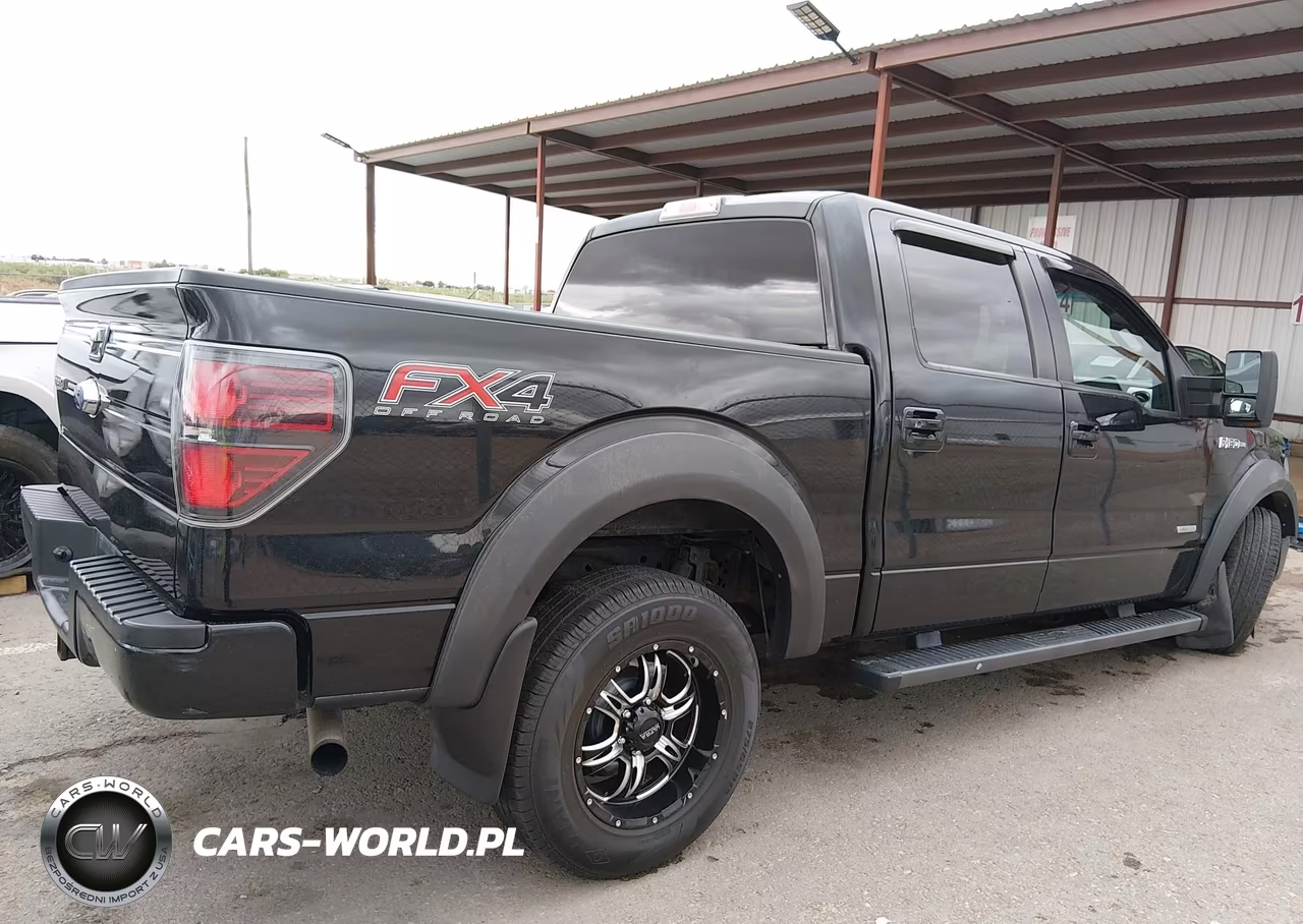2014 Ford F-150 Fx4 VIN:1FTFW1ETXEFB54494 - 13
