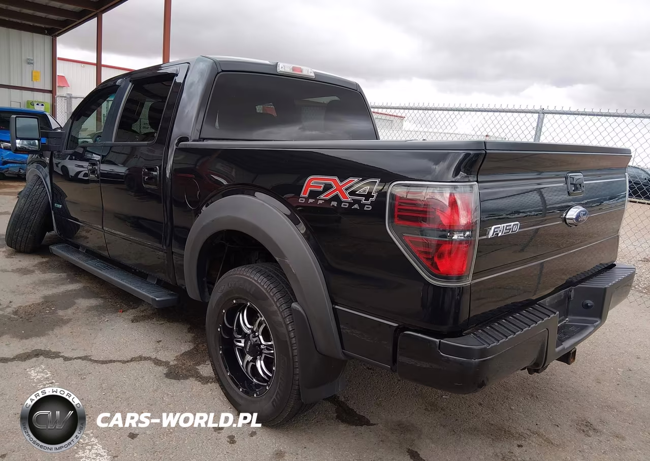 2014 Ford F-150 Fx4 VIN:1FTFW1ETXEFB54494 - 3