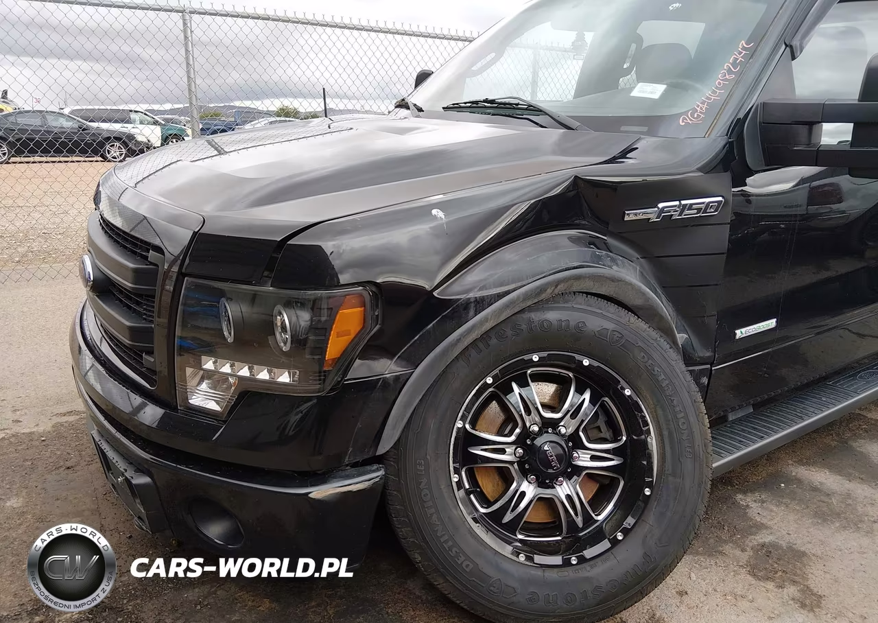 2014 Ford F-150 Fx4 VIN:1FTFW1ETXEFB54494 - 6