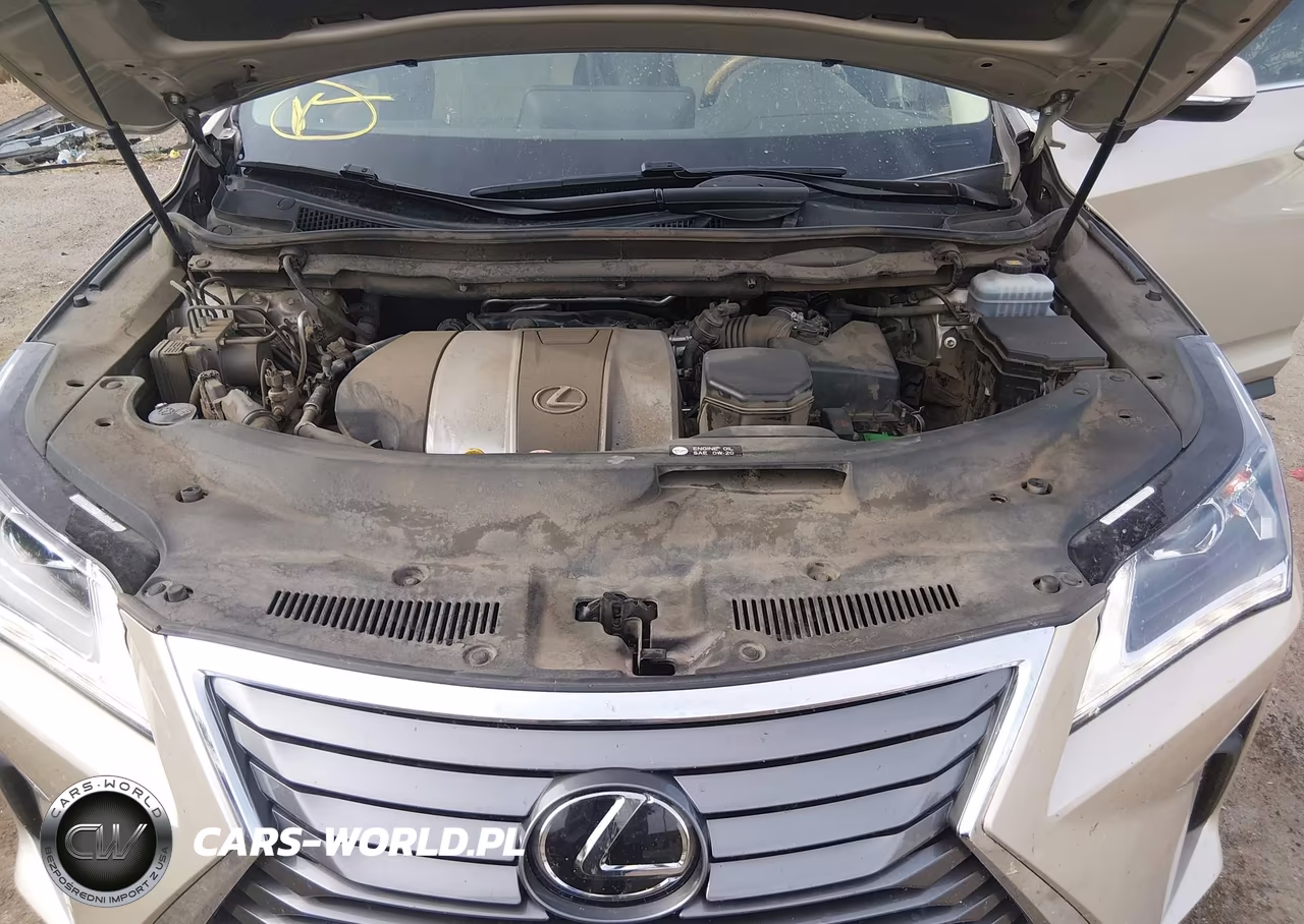 2019 Lexus Rx 350L Premium VIN:JTJGZKCA1K2010609 - 10