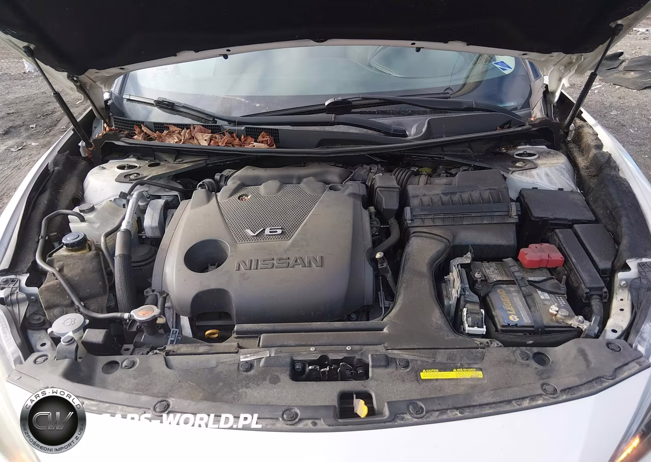 2016 Nissan Maxima 3.5 S VIN:1N4AA6AP7GC904099 - 10