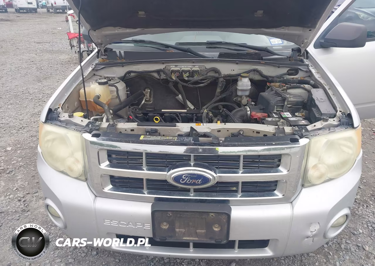 2009 Ford Escape Xlt VIN:1FMCU03789KA59515 - 10