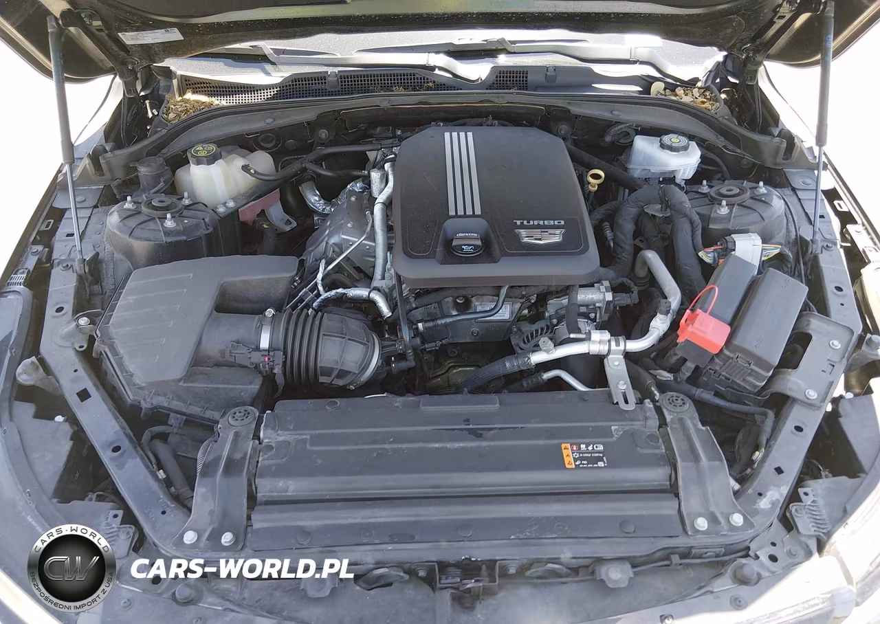 2021 Cadillac Ct4 Sport VIN:1G6DC5RK3M0127358 - 10