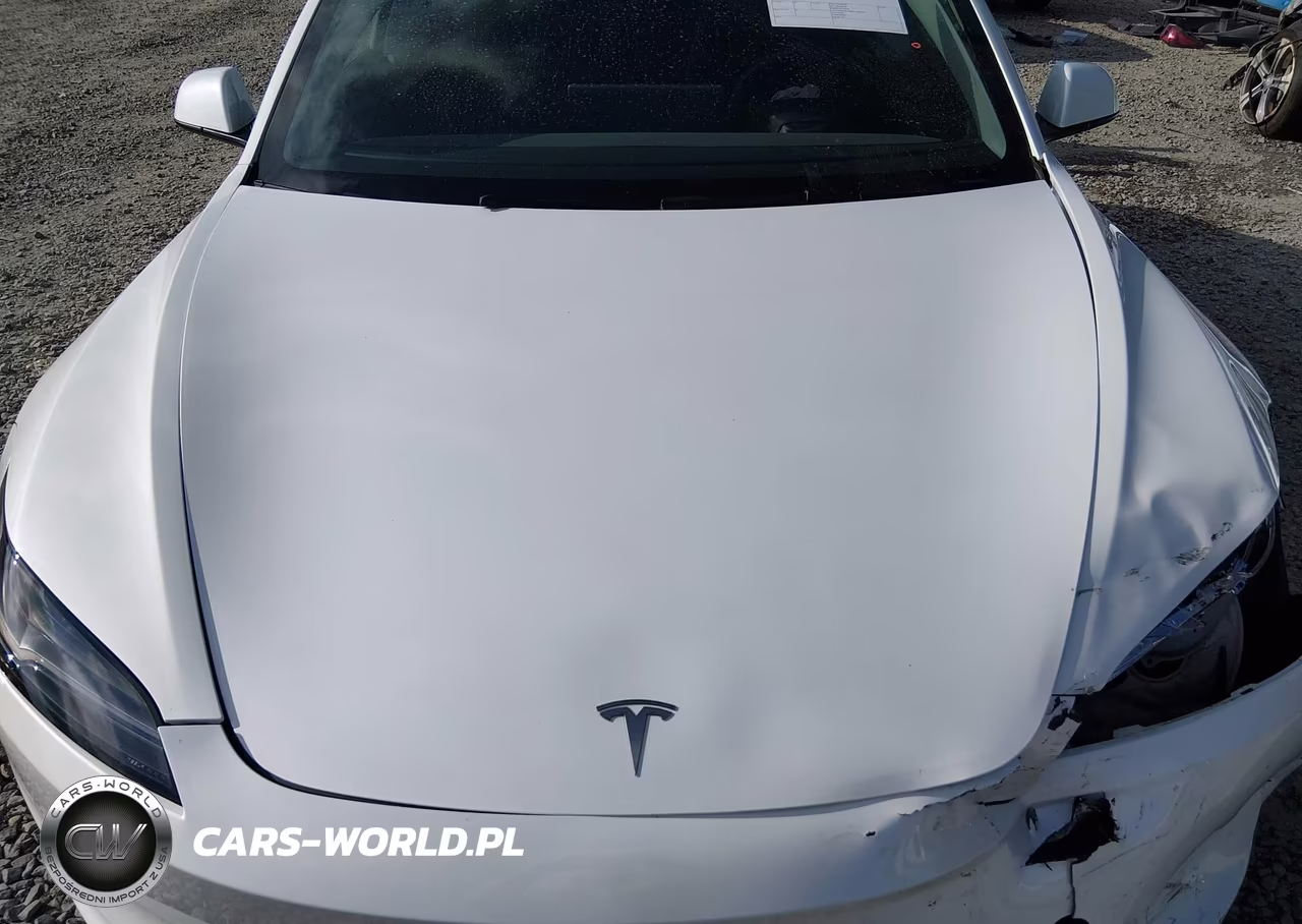 2025 Tesla Model 3 Long Range Rear-Wheel Drive-Standard Rear-Wheel Drive VIN:5YJ3E1EAXSF898519 - 10