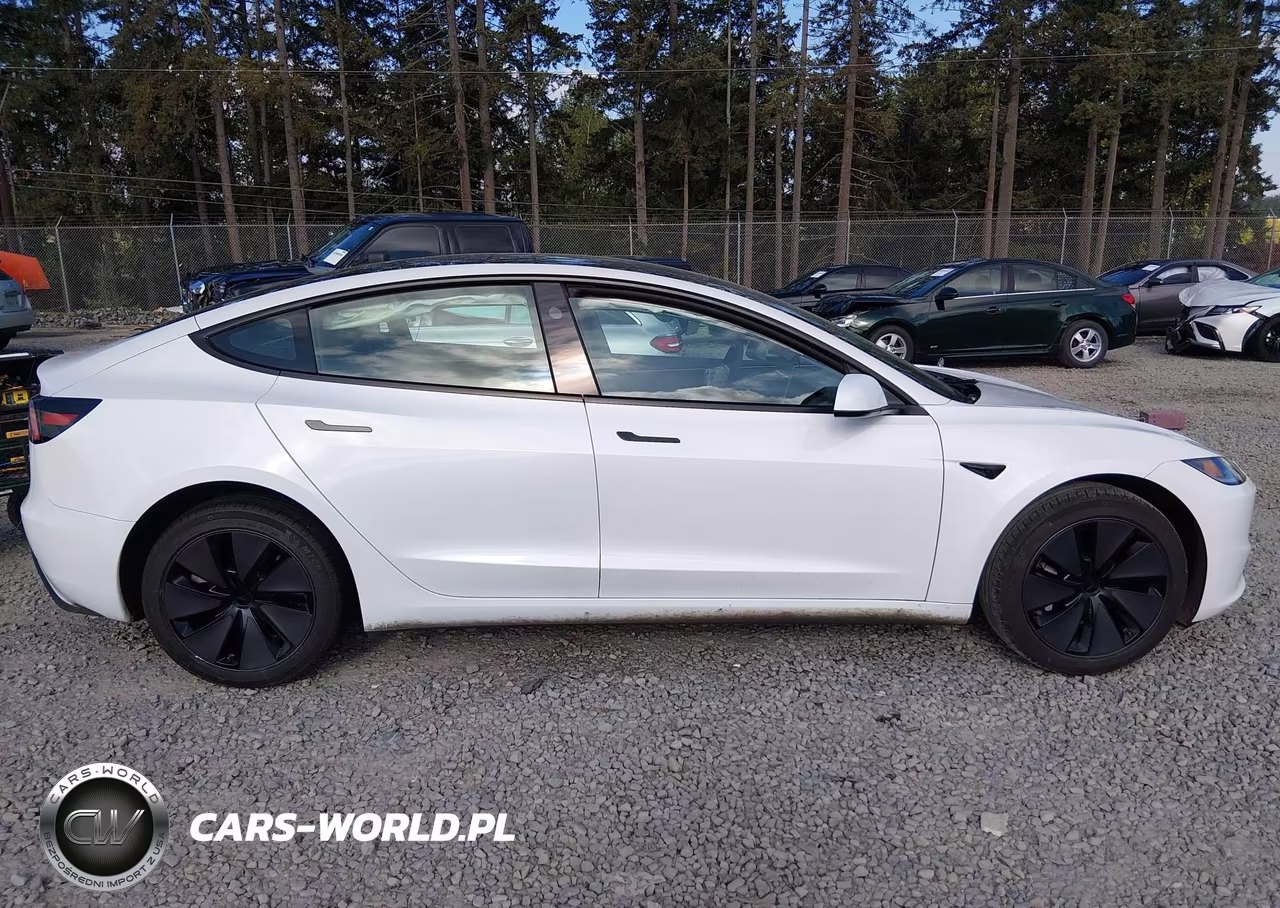 2025 Tesla Model 3 Long Range Rear-Wheel Drive-Standard Rear-Wheel Drive VIN:5YJ3E1EAXSF898519 - 12