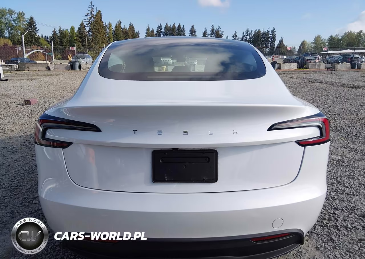 2025 Tesla Model 3 Long Range Rear-Wheel Drive-Standard Rear-Wheel Drive VIN:5YJ3E1EAXSF898519 - 15