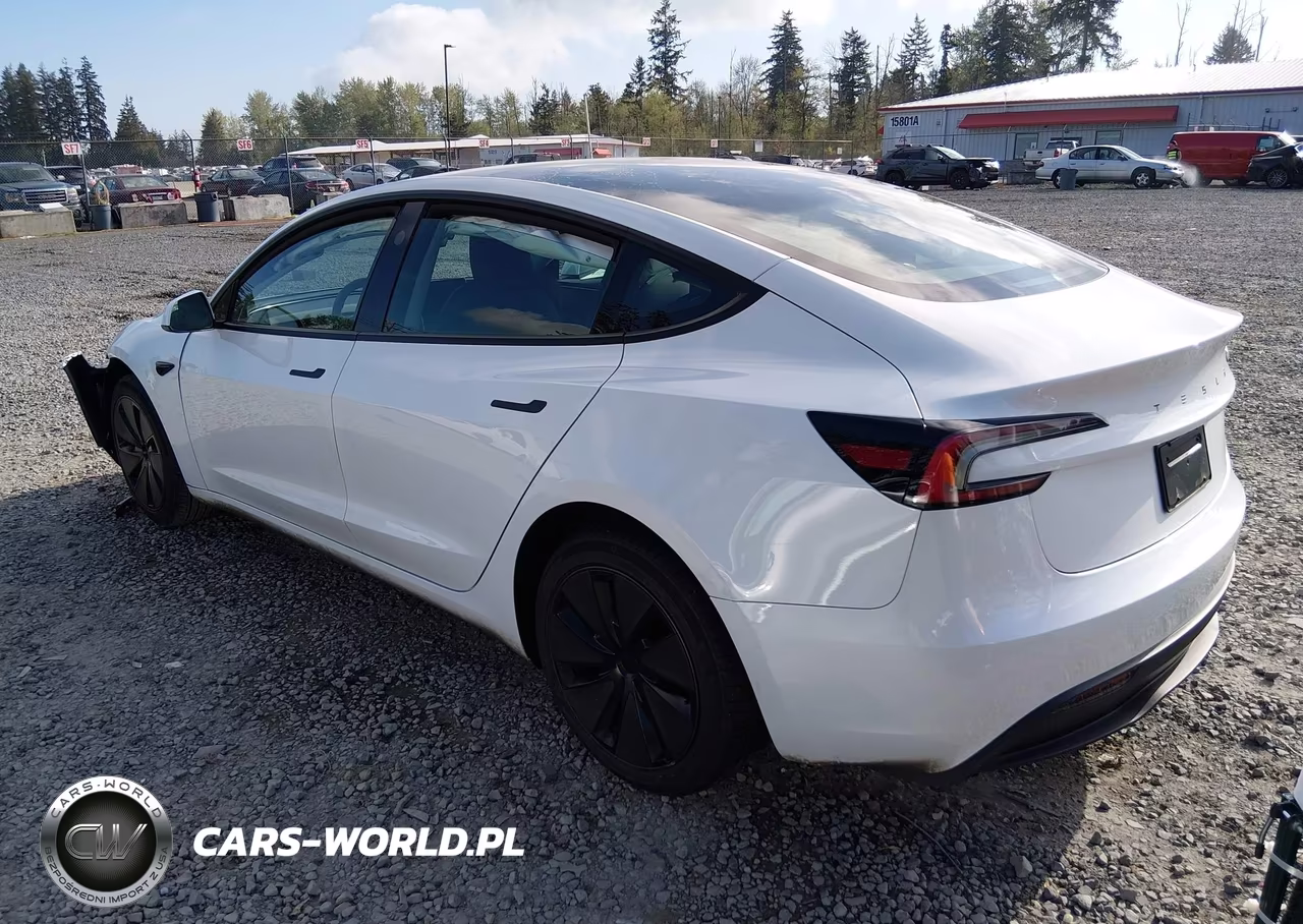 2025 Tesla Model 3 Long Range Rear-Wheel Drive-Standard Rear-Wheel Drive VIN:5YJ3E1EAXSF898519 - 3