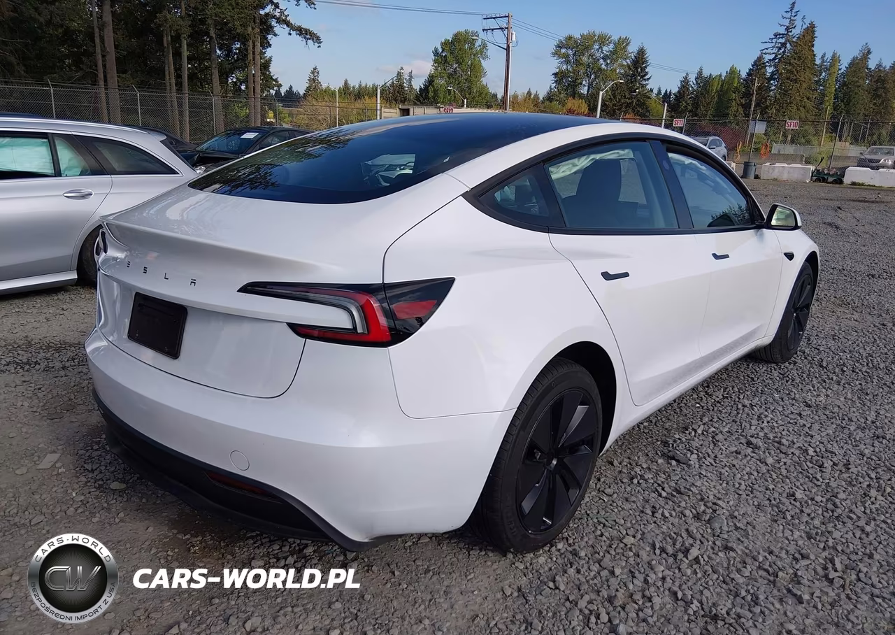 2025 Tesla Model 3 Long Range Rear-Wheel Drive-Standard Rear-Wheel Drive VIN:5YJ3E1EAXSF898519 - 4