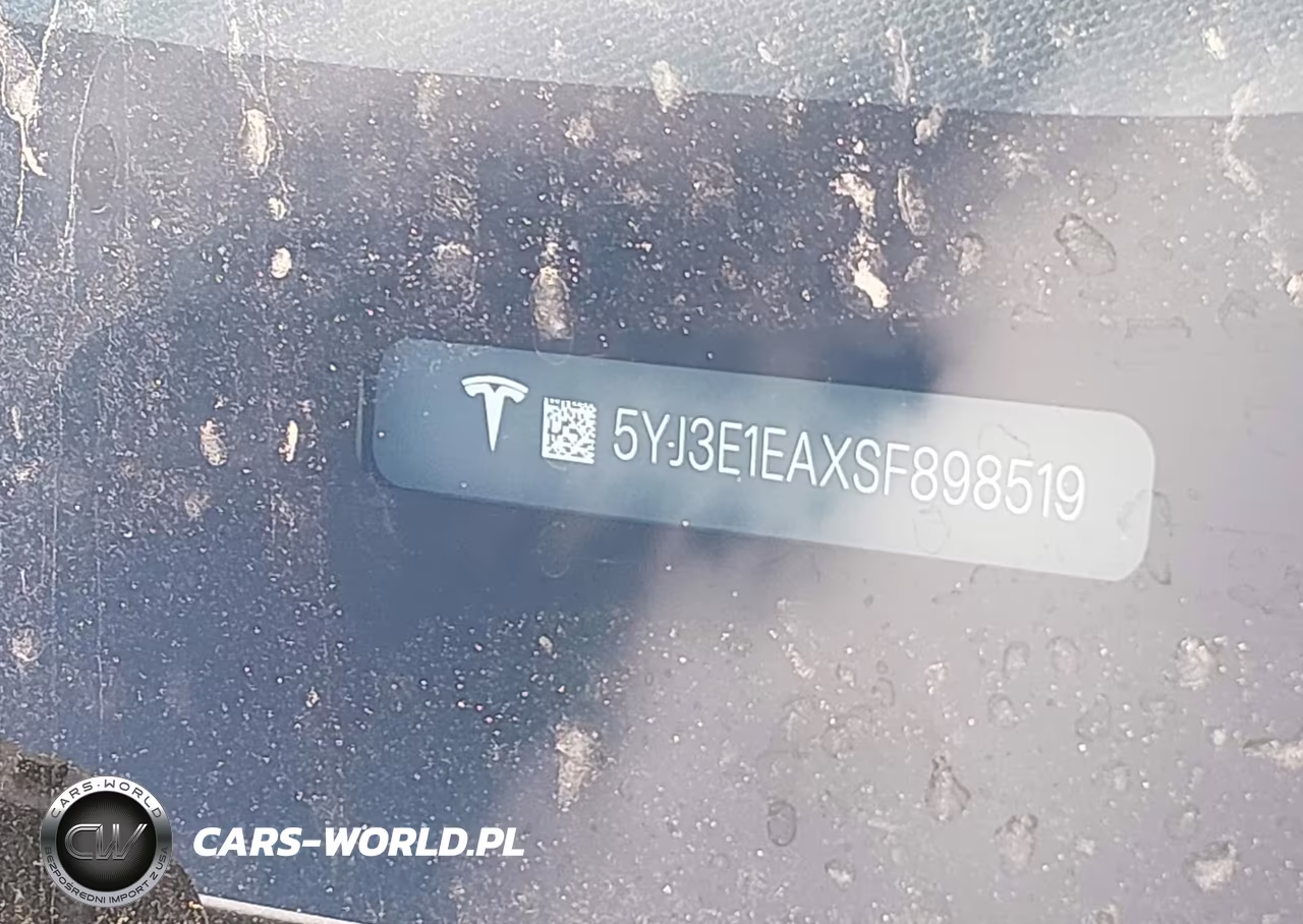 2025 Tesla Model 3 Long Range Rear-Wheel Drive-Standard Rear-Wheel Drive VIN:5YJ3E1EAXSF898519 - 9