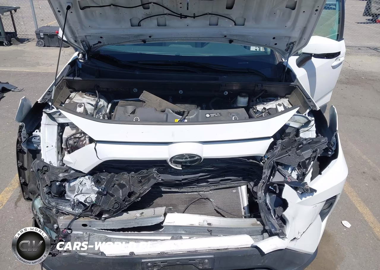 2019 Toyota Rav4 Xle VIN:2T3W1RFV0KW048854 - 10