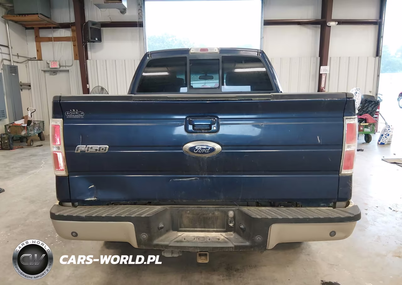 2010 Ford F-150 Fx4-Harley-Davidson-King Ranch-Lariat-Platinum-Xl-Xlt VIN:1FTFW1EV7AFC72448 - 16