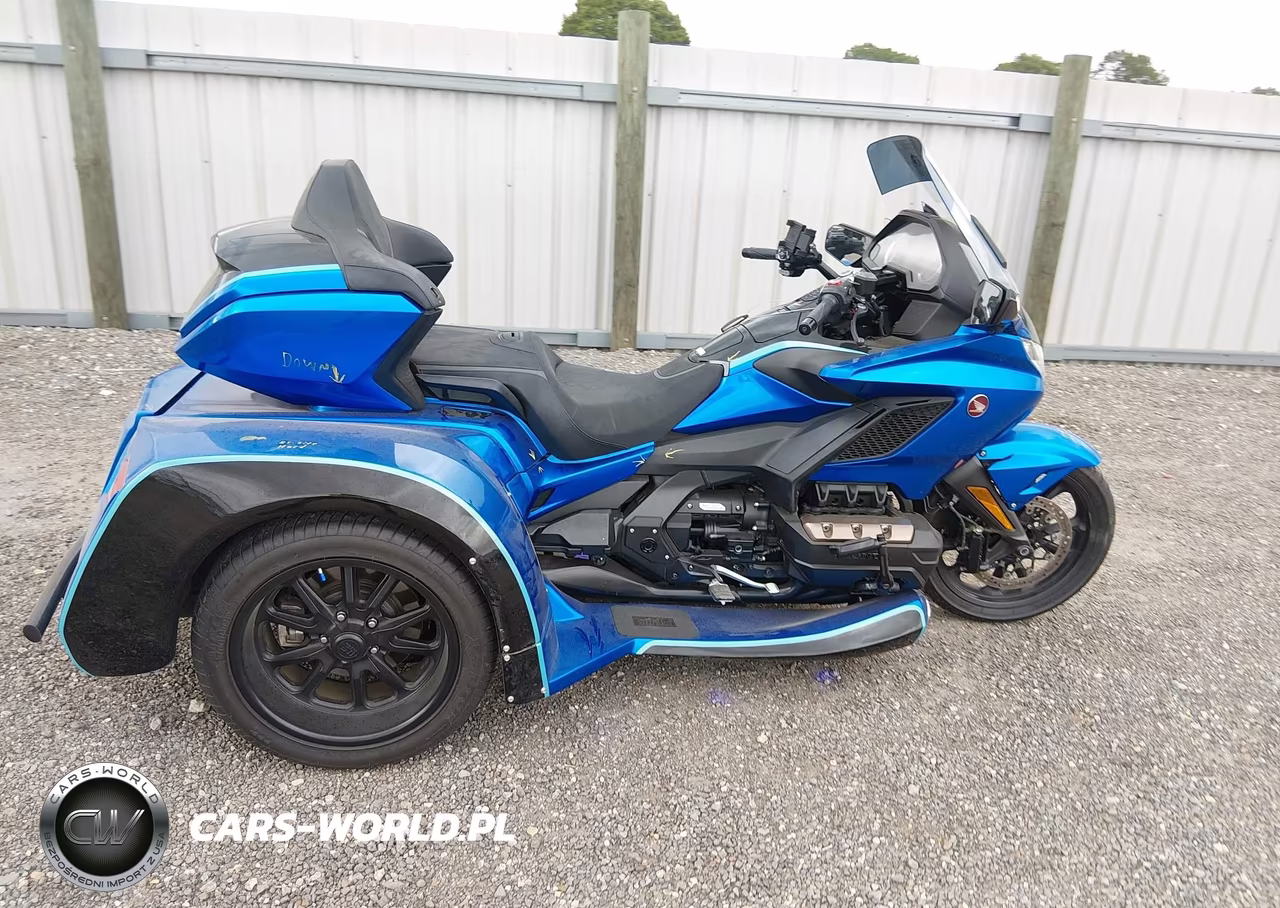 2024 Honda Gl1800 D VIN:JH2SC7959RK600788 - 12