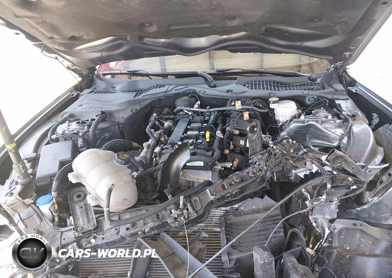 2023 Ford Mustang Ecoboost Premium Fastback VIN:1FA6P8TH7P5108401 - 10