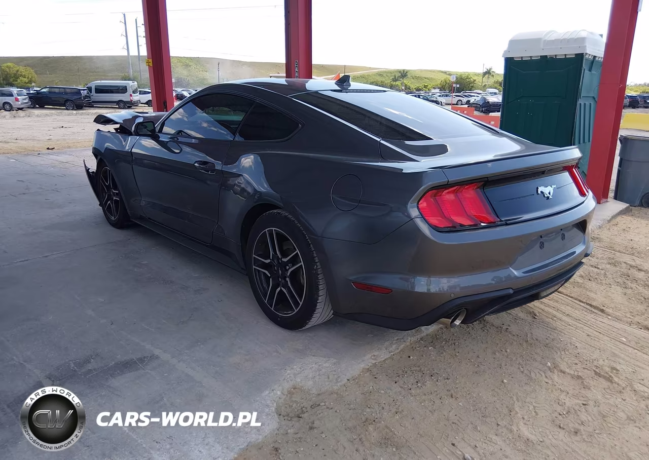 2023 Ford Mustang Ecoboost Premium Fastback VIN:1FA6P8TH7P5108401 - 3