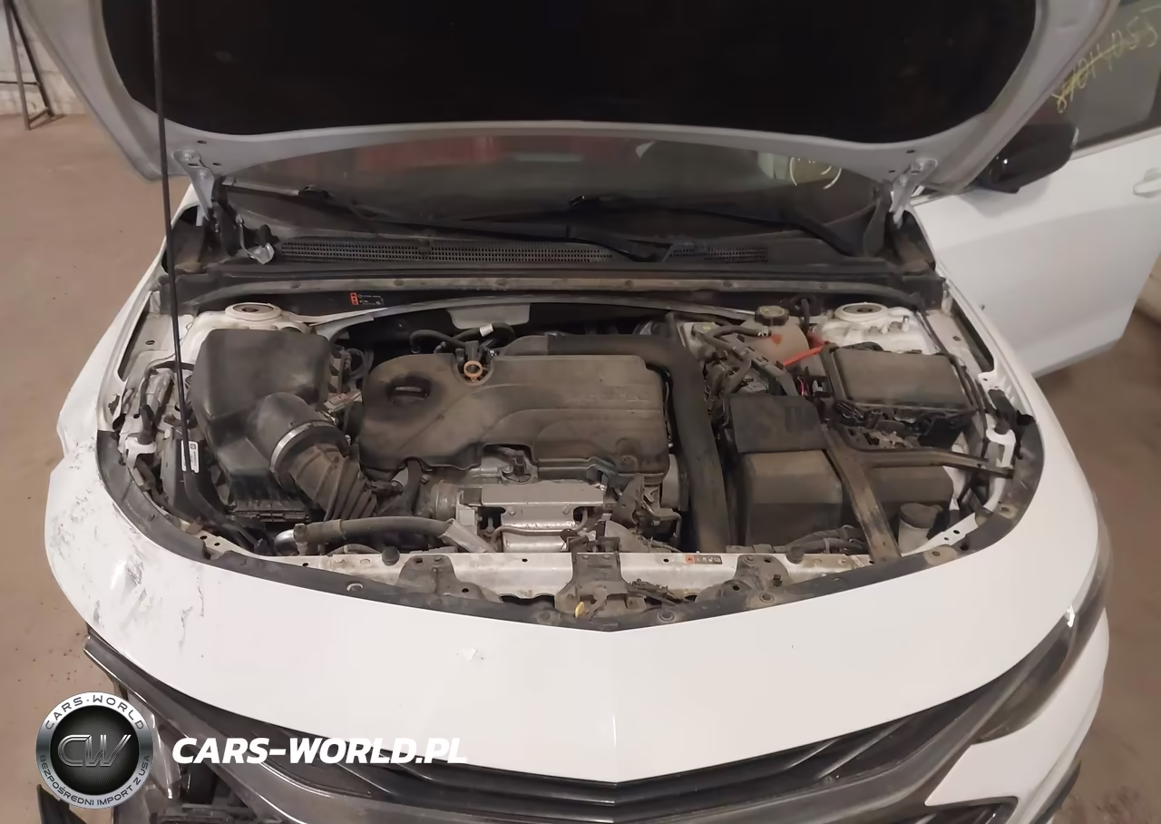 2019 Chevrolet Malibu Rs VIN:1G1ZG5ST1KF219520 - 10