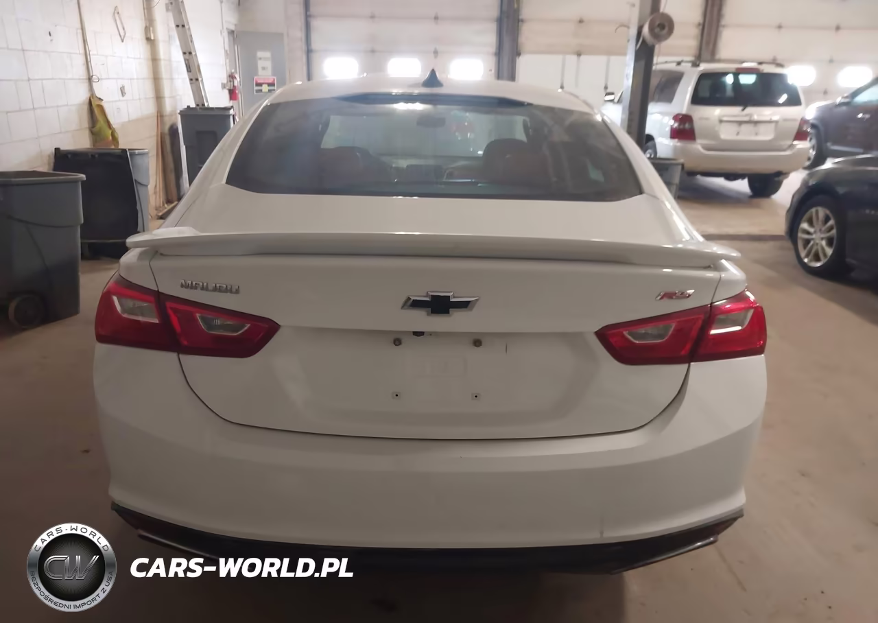 2019 Chevrolet Malibu Rs VIN:1G1ZG5ST1KF219520 - 16