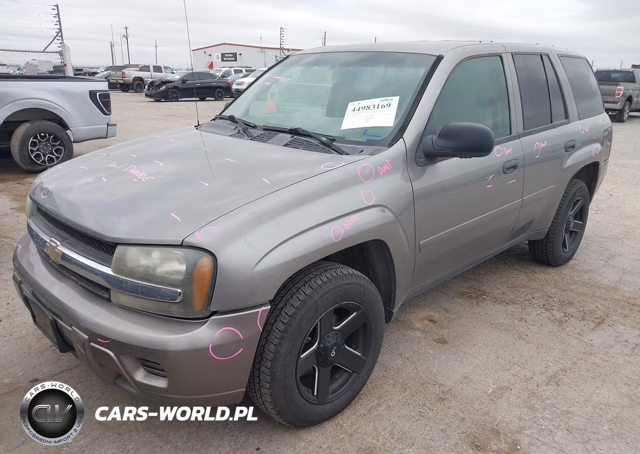 2008 Chevrolet Trailblazer Fleet VIN:1GNDS13S382199101 - 2