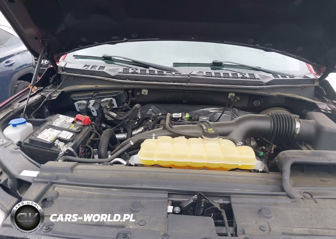 2019 Ford F-150 Xlt VIN:1FTEW1CP2KKF21957 - 10
