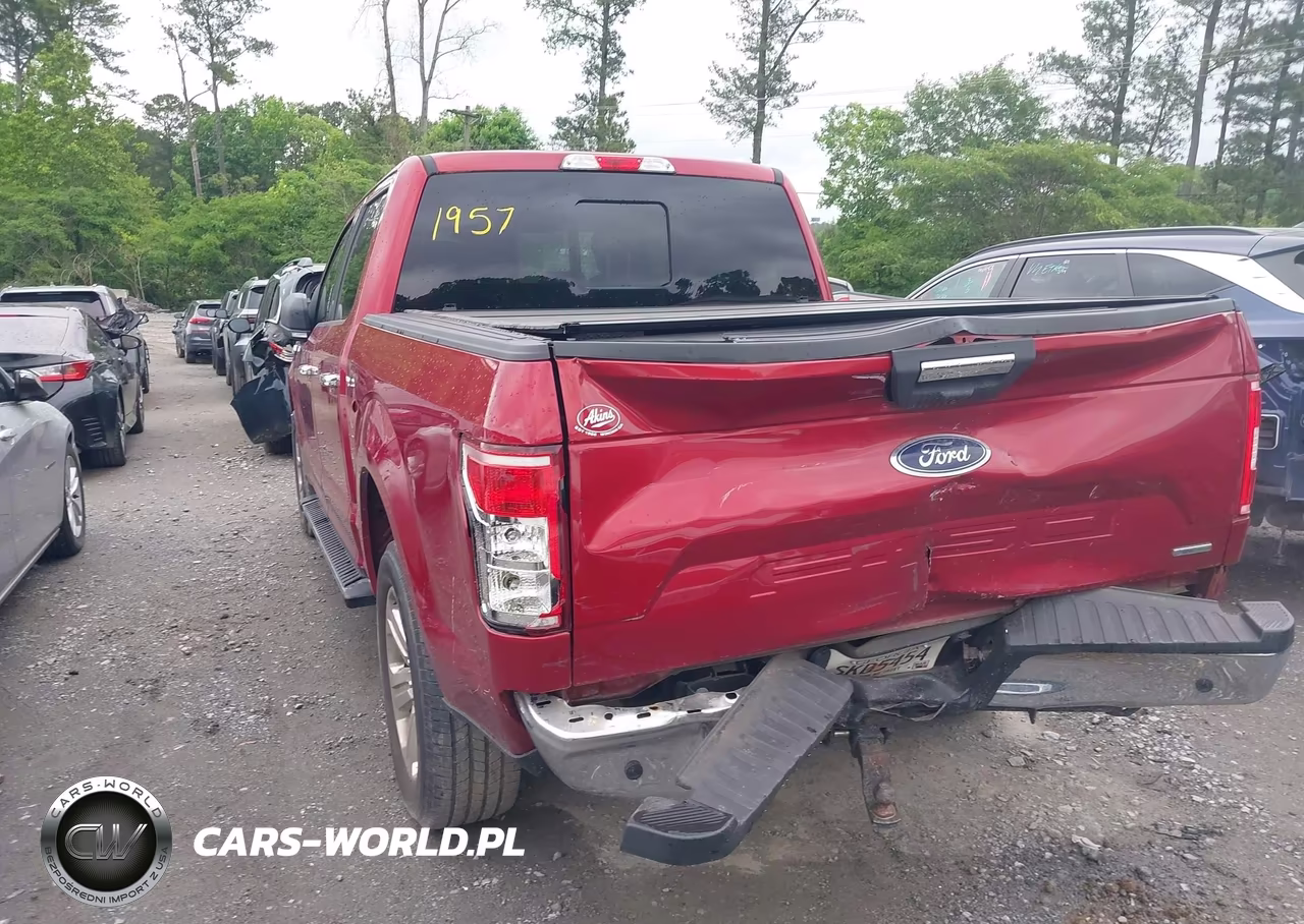 2019 Ford F-150 Xlt VIN:1FTEW1CP2KKF21957 - 3