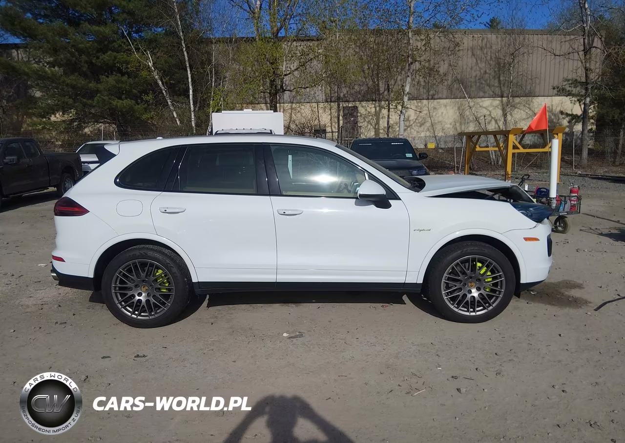 2017 Porsche Cayenne E-Hybrid S-S Platinum Edition VIN:WP1AE2A20HLA68373 - 13