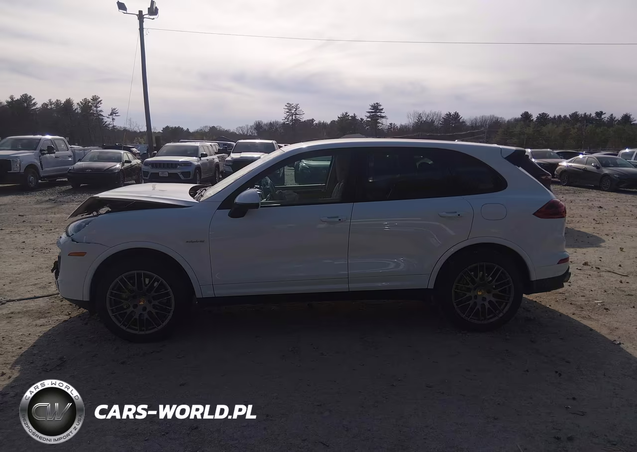 2017 Porsche Cayenne E-Hybrid S-S Platinum Edition VIN:WP1AE2A20HLA68373 - 14