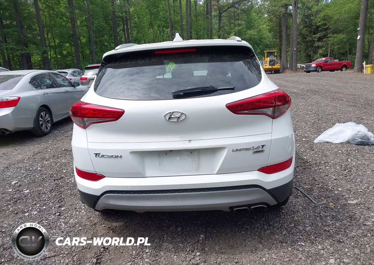 2018 Hyundai Tucson Limited VIN:KM8J3CA25JU688435 - 17