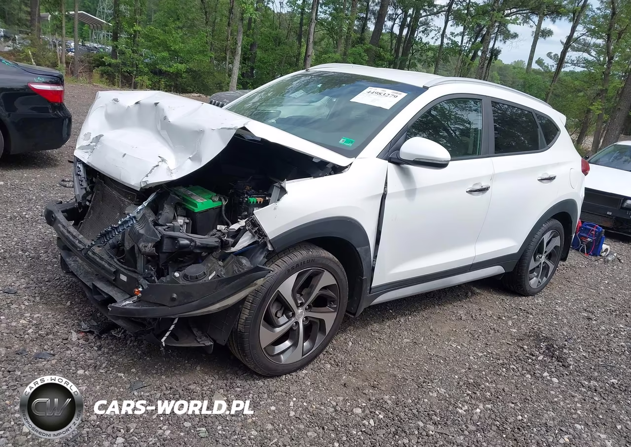 2018 Hyundai Tucson Limited VIN:KM8J3CA25JU688435 - 2