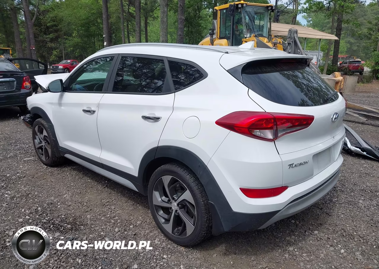 2018 Hyundai Tucson Limited VIN:KM8J3CA25JU688435 - 3