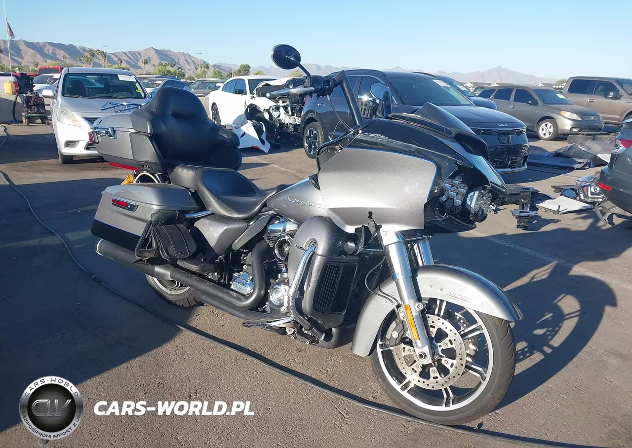 2021 Harley-Davidson Fltrk VIN:1HD1KZF10MB637238 - 1
