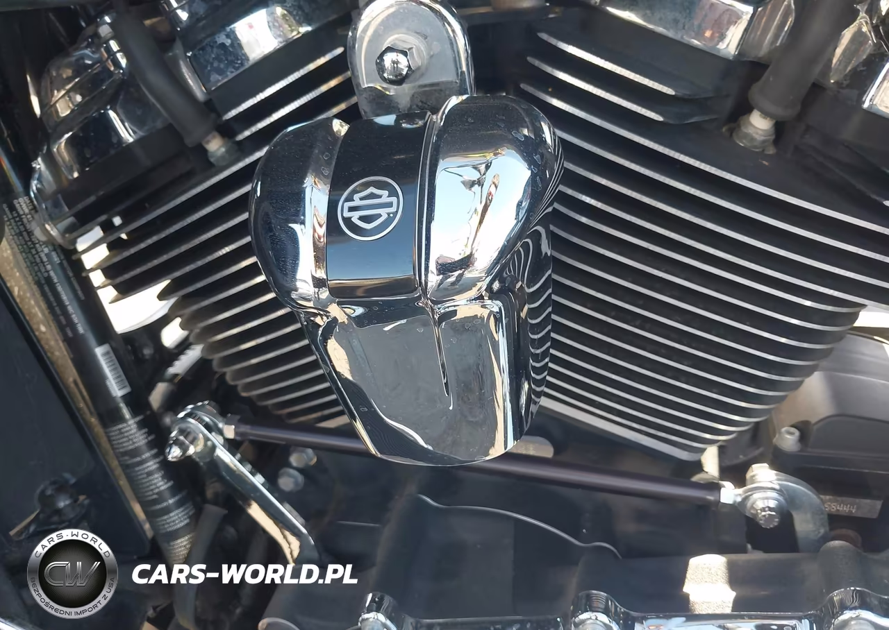 2021 Harley-Davidson Fltrk VIN:1HD1KZF10MB637238 - 9