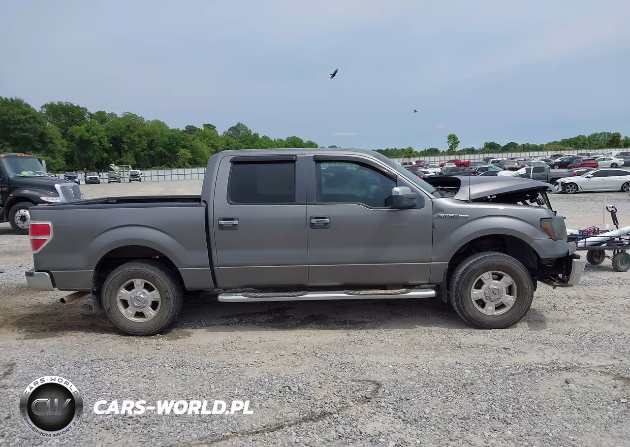 2010 Ford F-150 Fx2 Sport-Harley-Davidson-King Ranch-Lariat-Platinum-Xl-Xlt VIN:1FTFW1CV3AFA06377 - 13