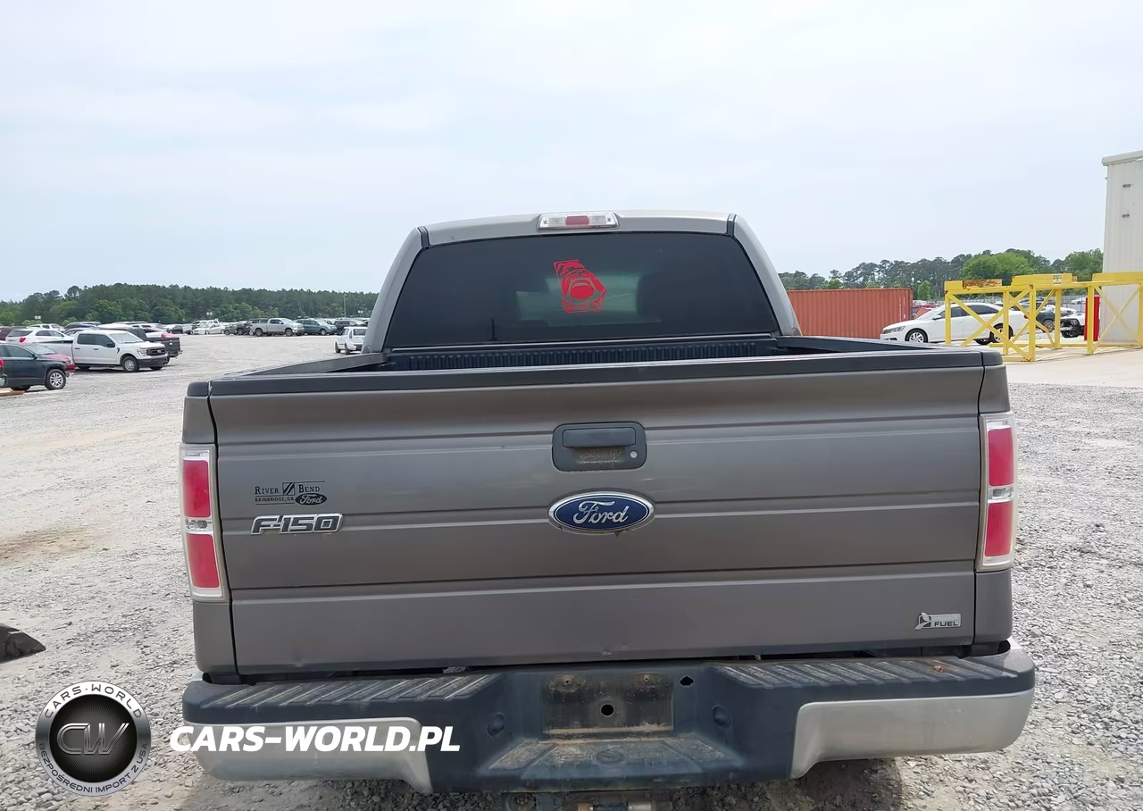 2010 Ford F-150 Fx2 Sport-Harley-Davidson-King Ranch-Lariat-Platinum-Xl-Xlt VIN:1FTFW1CV3AFA06377 - 16