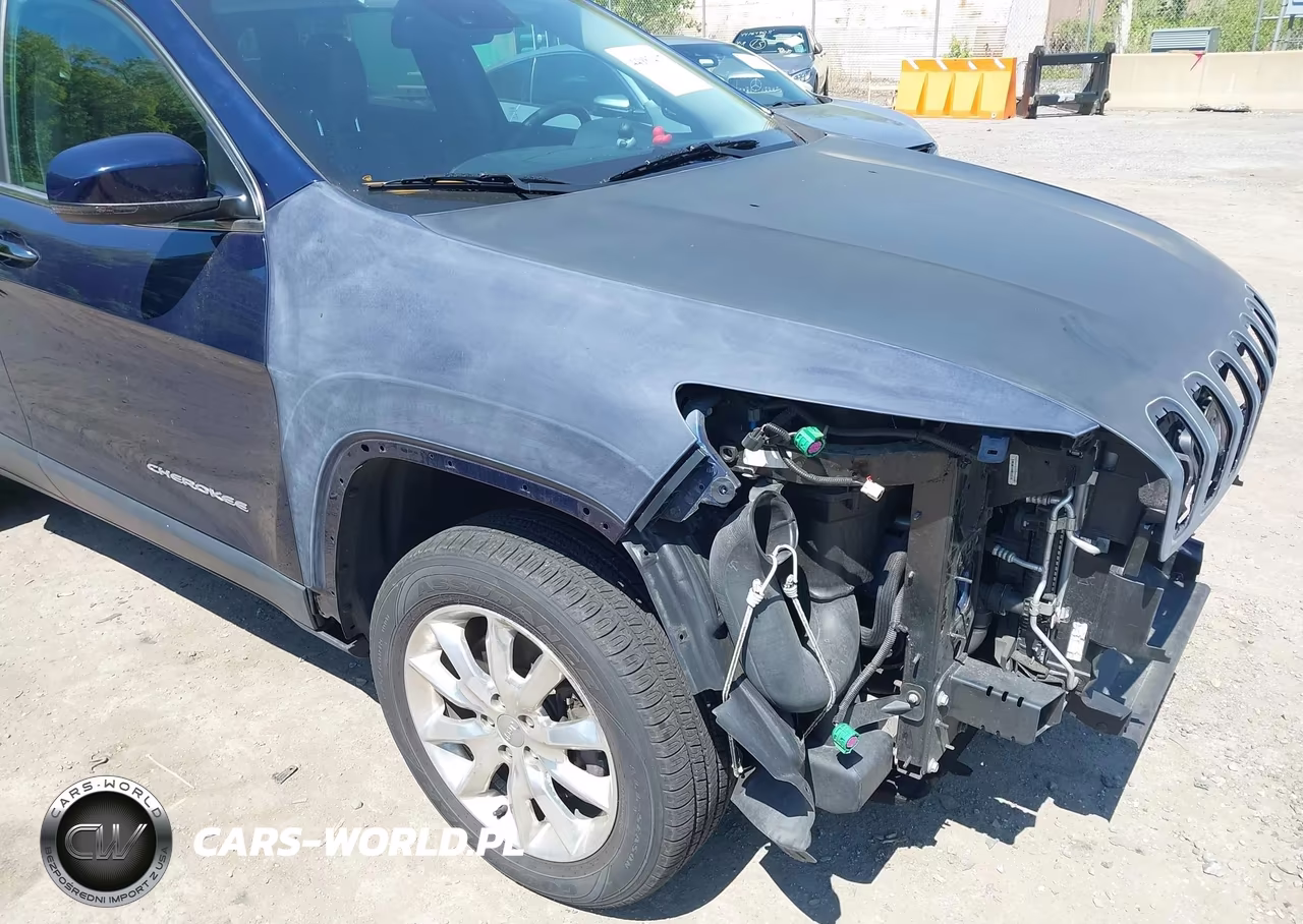 2014 Jeep Cherokee Limited VIN:1C4PJMDS5EW144887 - 19