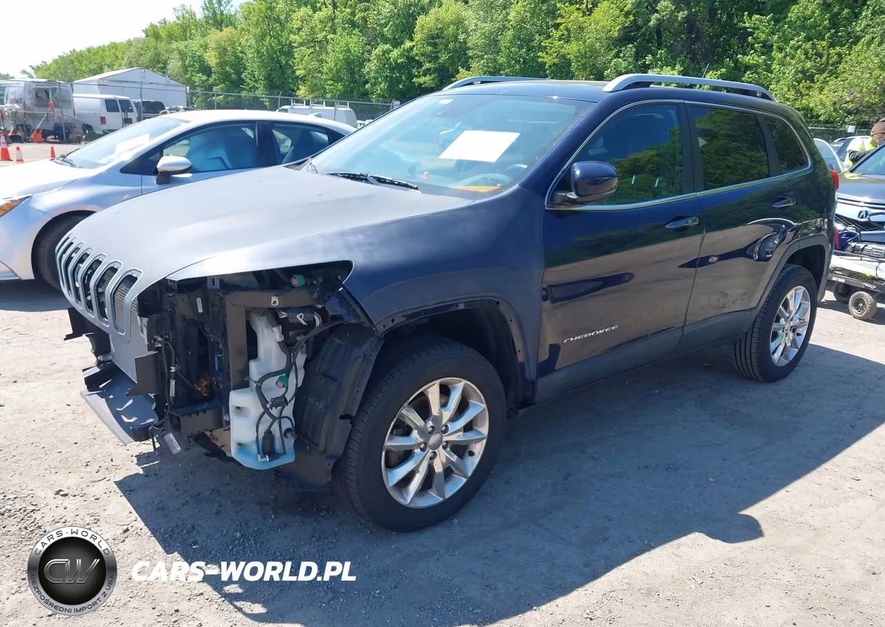 2014 Jeep Cherokee Limited VIN:1C4PJMDS5EW144887 - 2