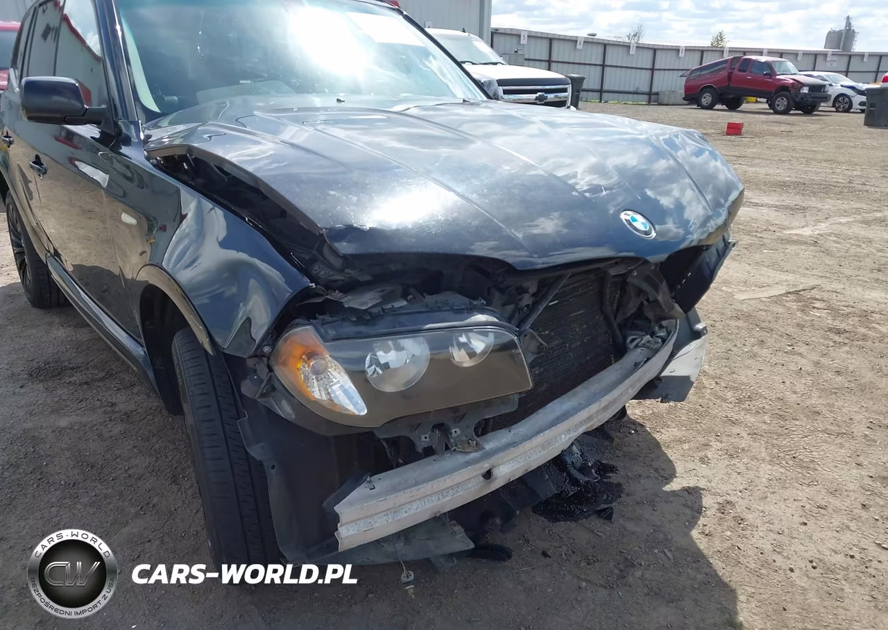 2006 BMW X3 3.0I VIN:WBXPA93476WG87052 - 19