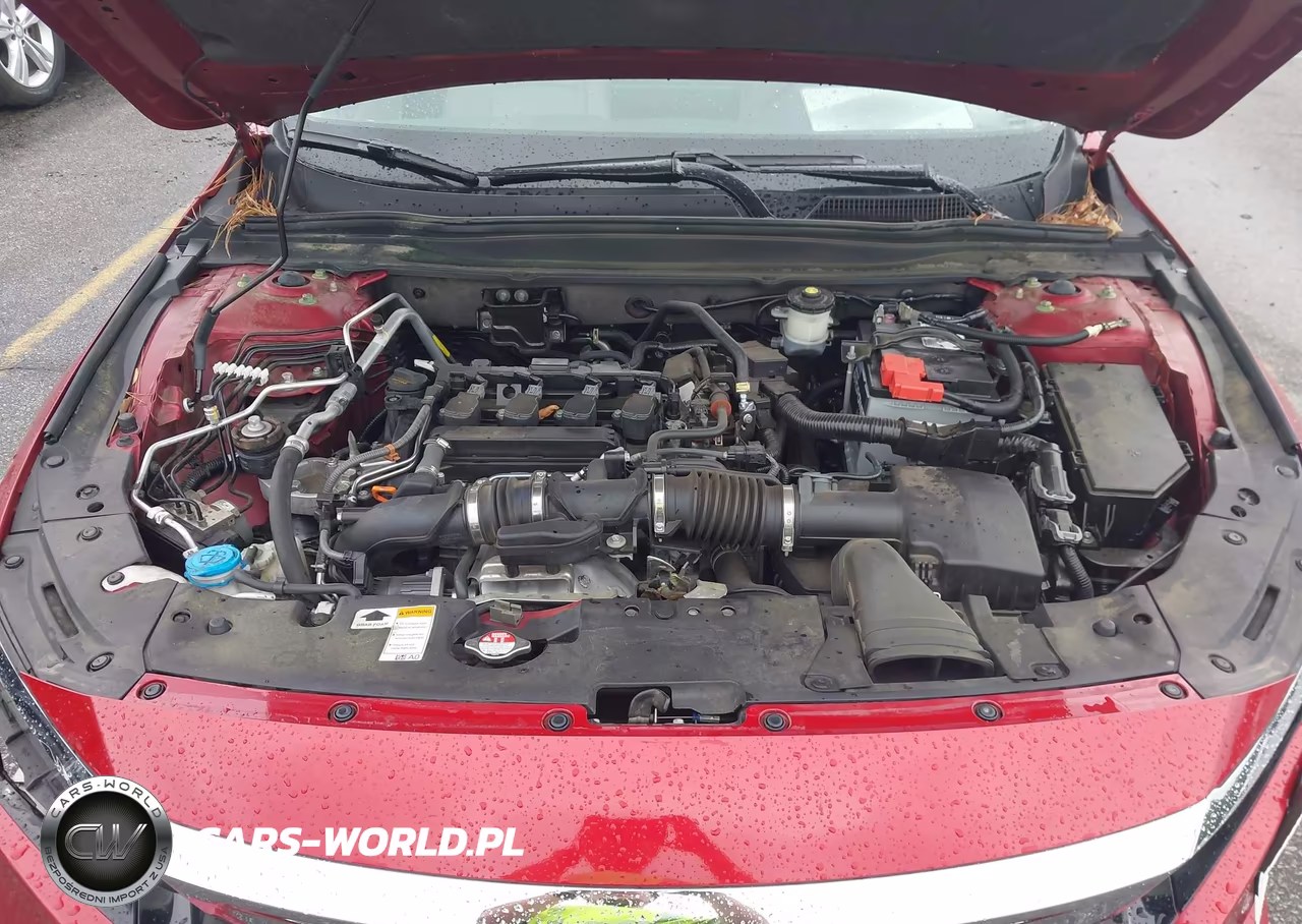 2021 Honda Accord Lx VIN:1HGCV1F18MA103544 - 10