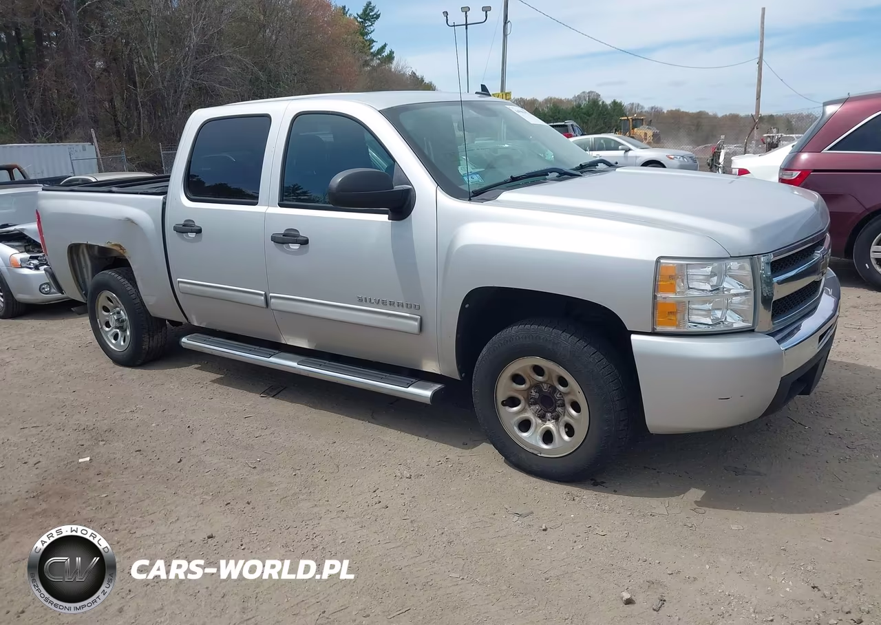 2010 Chevrolet Silverado 1500 Ls