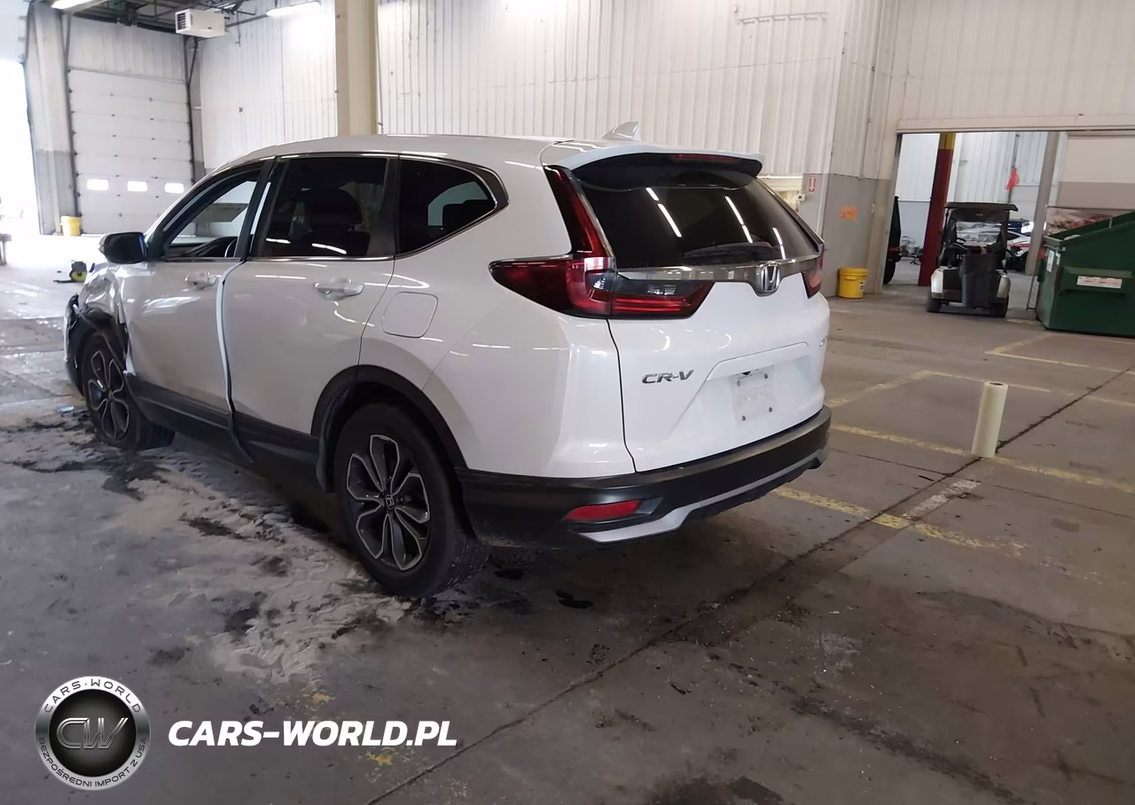 2020 Honda Cr-V Awd Ex VIN:5J6RW2H51LA014208 - 3