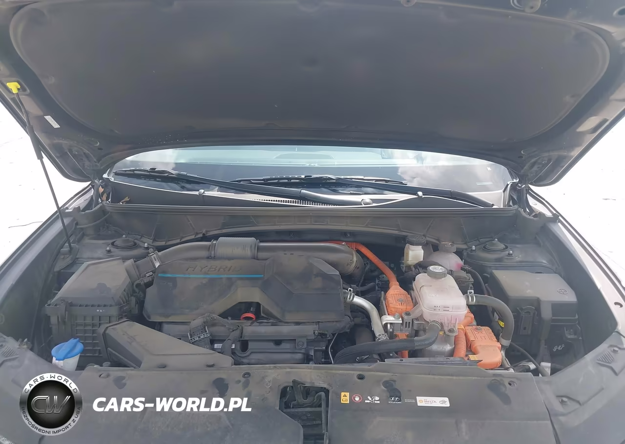 2024 Hyundai Tucson Hybrid Blue VIN:KM8JBCD16RU224474 - 10