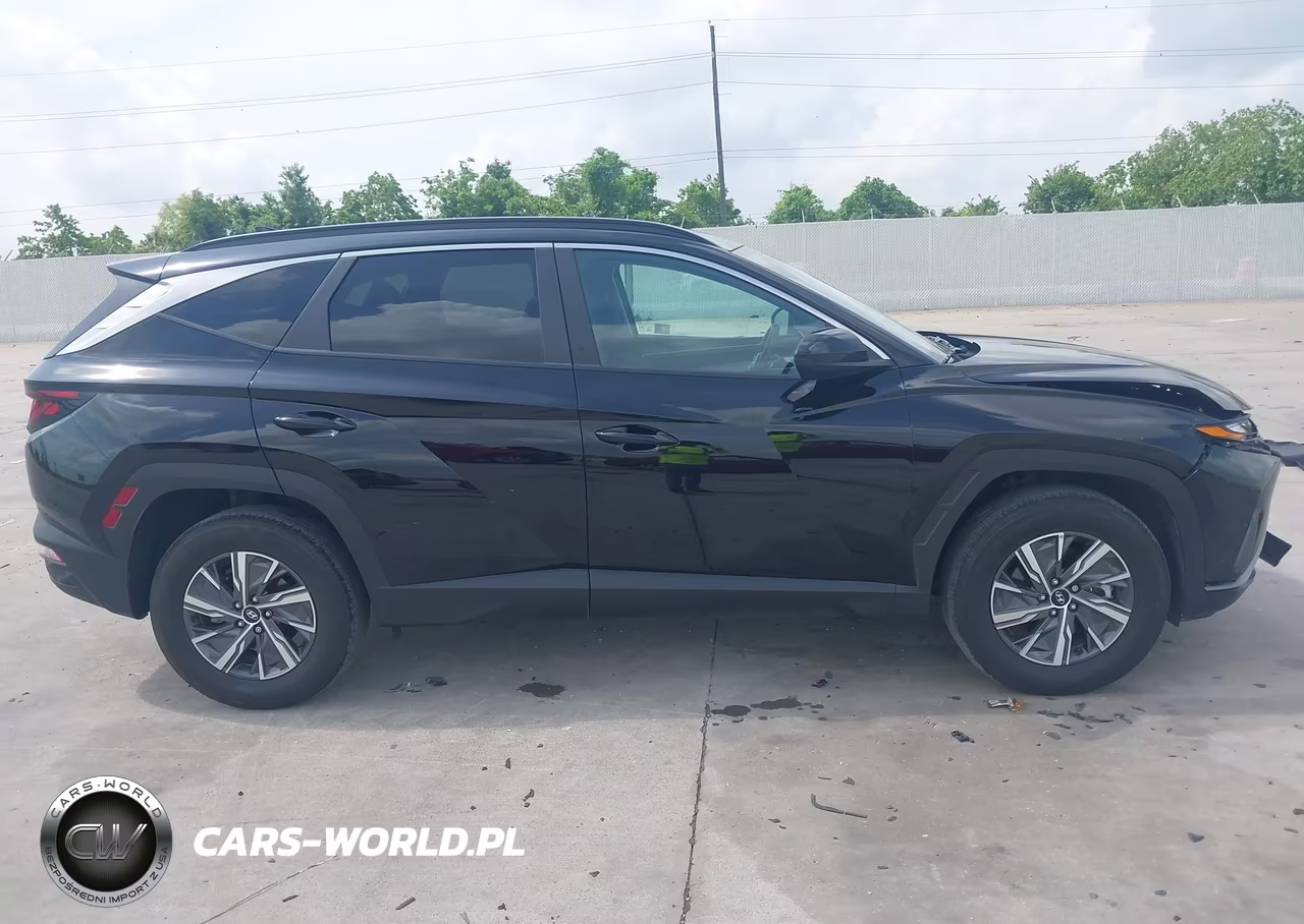 2024 Hyundai Tucson Hybrid Blue VIN:KM8JBCD16RU224474 - 13