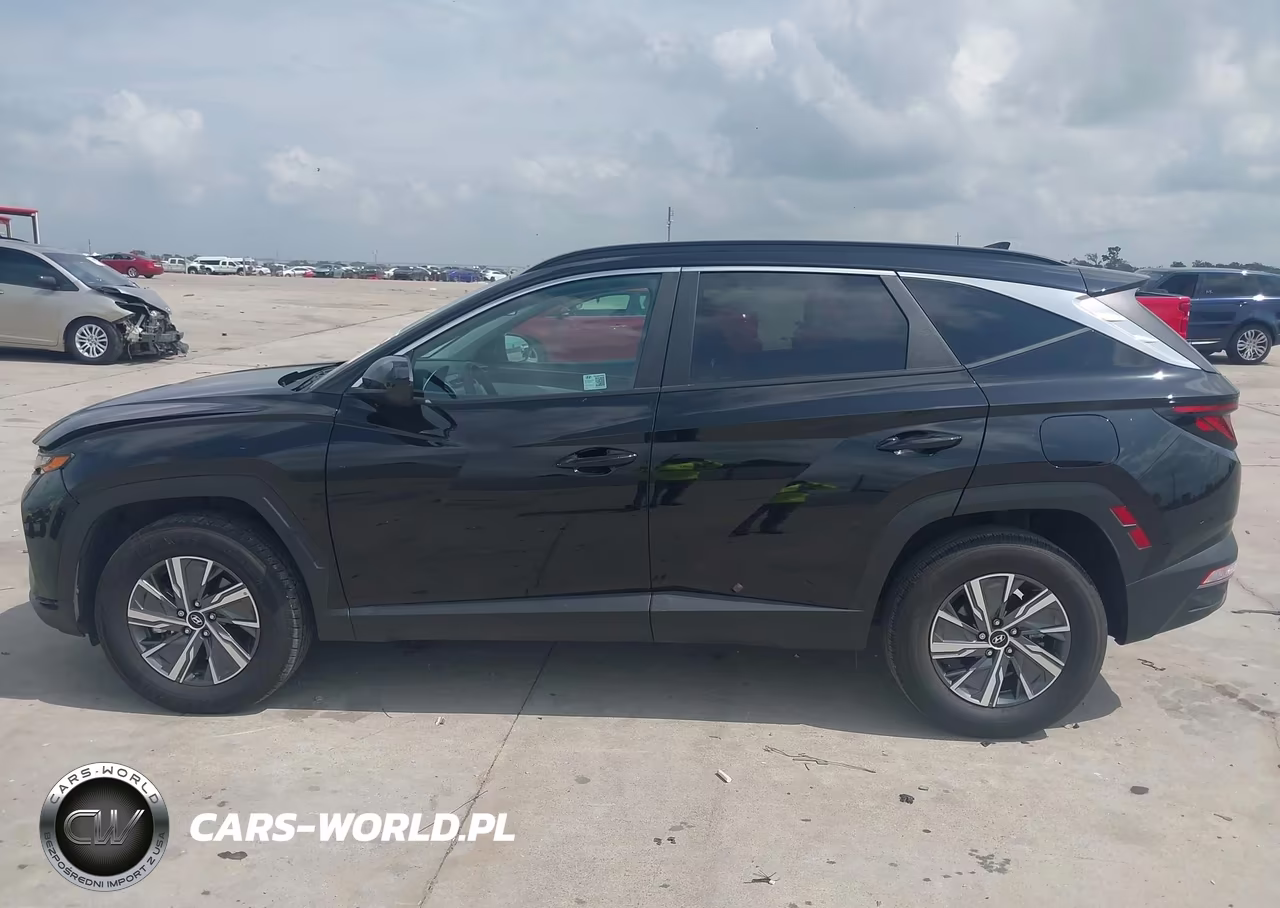 2024 Hyundai Tucson Hybrid Blue VIN:KM8JBCD16RU224474 - 14