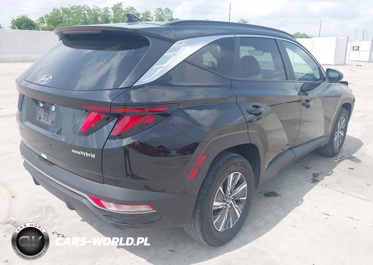 2024 Hyundai Tucson Hybrid Blue VIN:KM8JBCD16RU224474 - 4