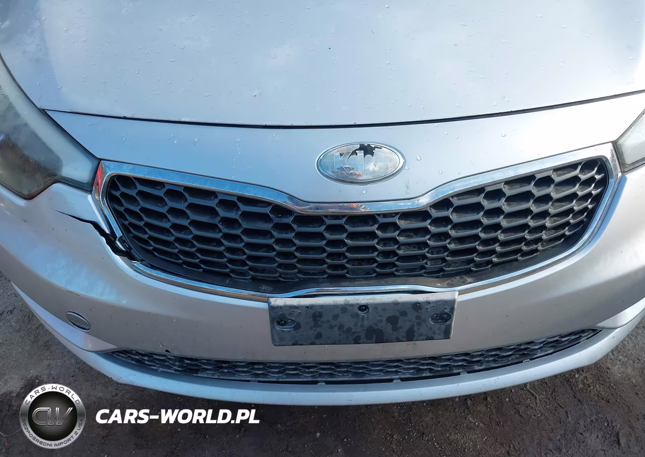 2015 Kia Forte Lx VIN:KNAFK4A63F5433240 - 14