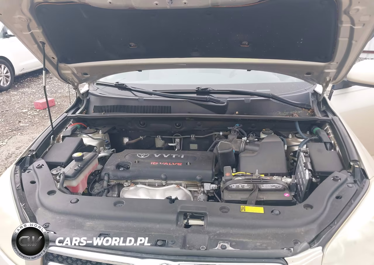 2008 Toyota Rav4 Limited VIN:JTMBD31V186069376 - 10