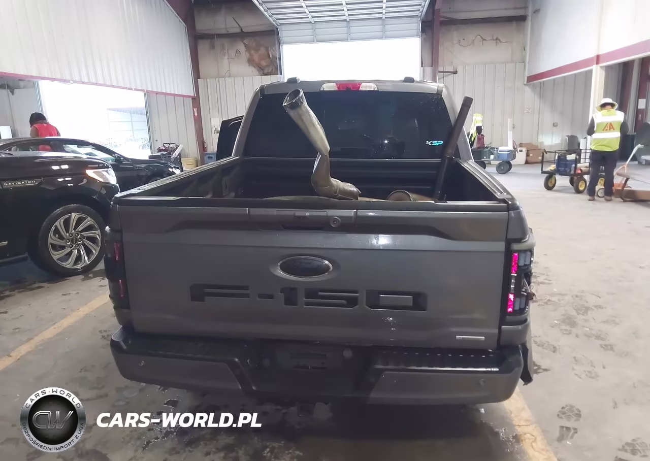 2021 Ford F-150 Lariat VIN:1FTFW1E80MKD94350 - 17